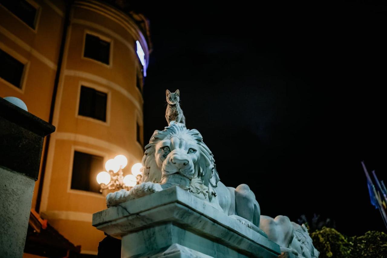 Hotel Coandi Arad Exterior foto